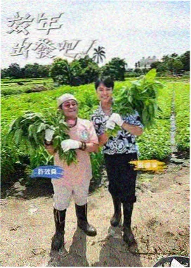 脱口而出 免费影视网站