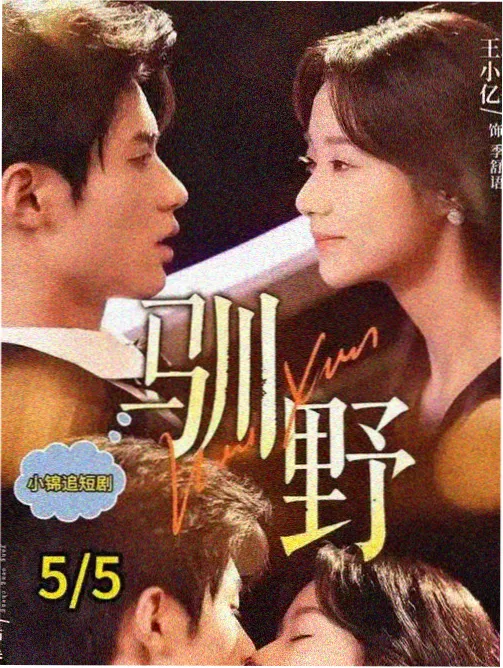 双面档案 高清电影免费播放